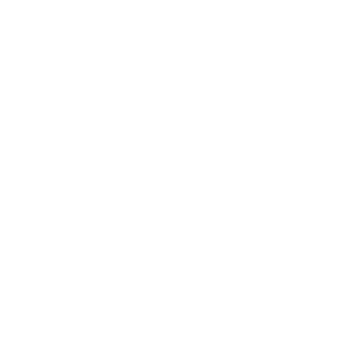 Checklist - white icon