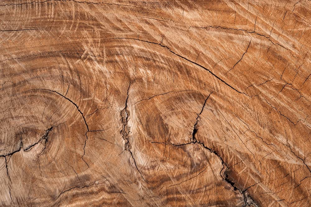 Superficie de madera envejecida con vetas y grietas visibles.