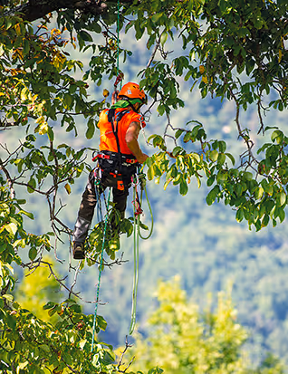CAMP | Equipos certificados para trabajos en altura - EASTAV