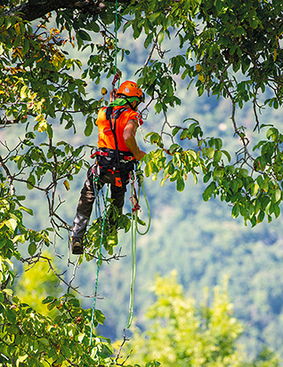 CAMP | Equipos certificados para trabajos en altura - EASTAV