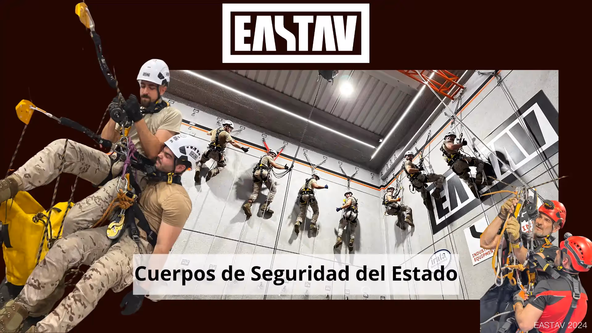 Cuerpos de seguridad del estado