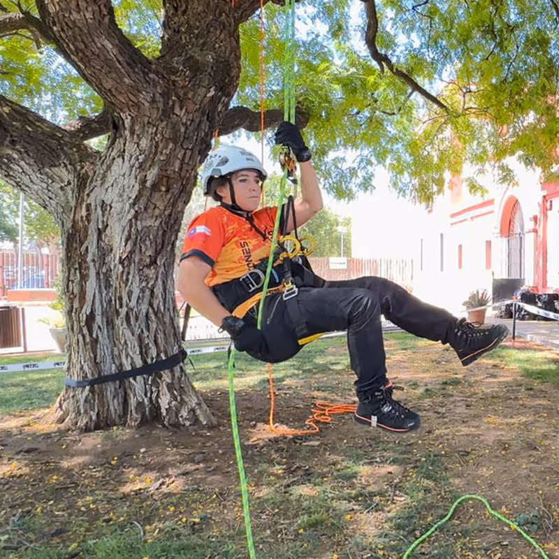 Jornada Técnica de PODA - Tree Care TOUR - PETZL - EASTAV