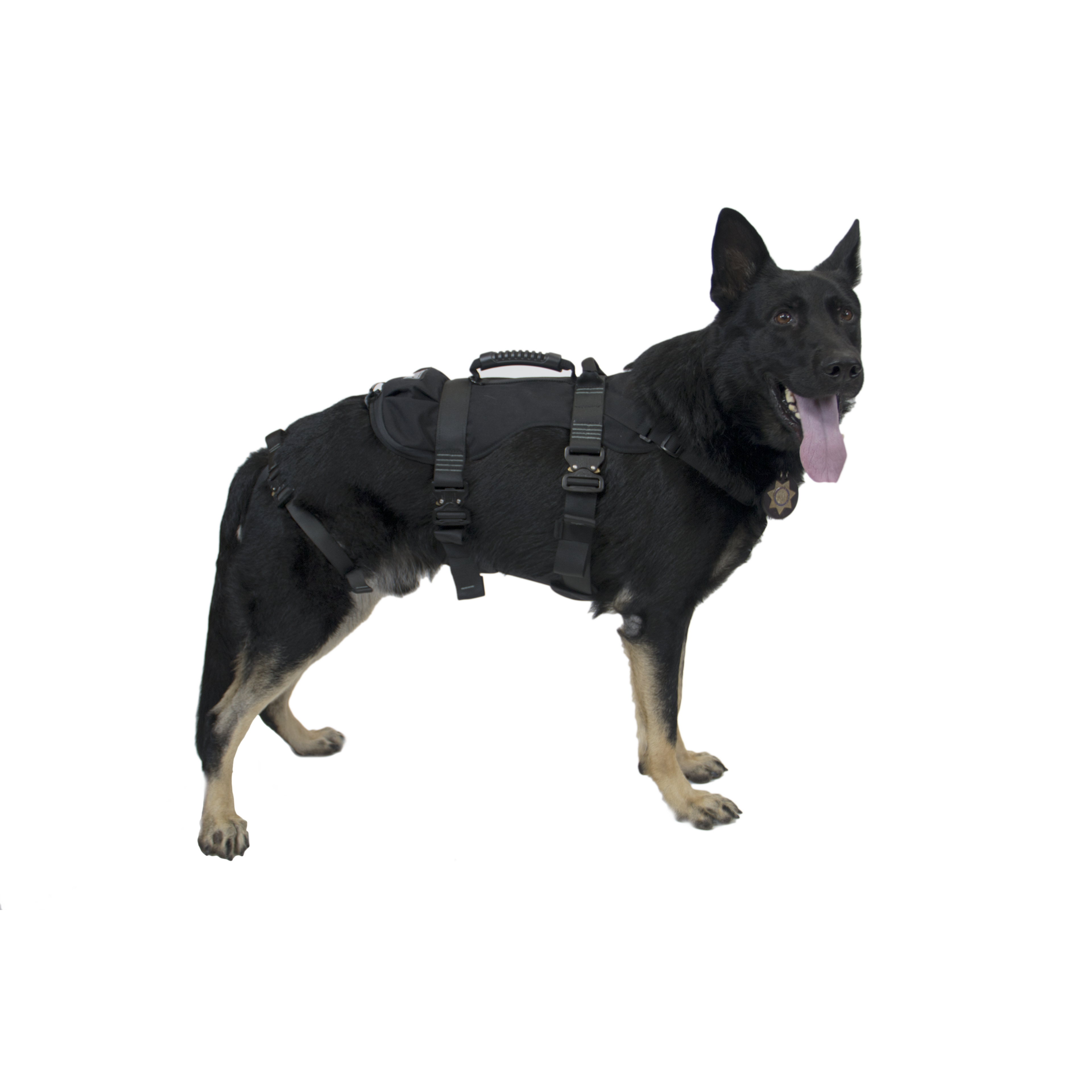 K9 ProSeries Rappelling Dog Harness