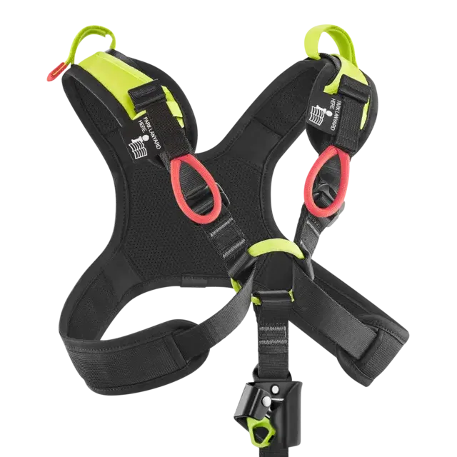 VECTOR X Night-Oasis