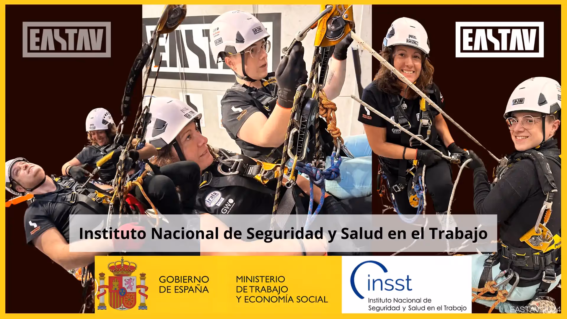 Instituto Nacional de Seguridad y Salud en el Trabajo (INSST)