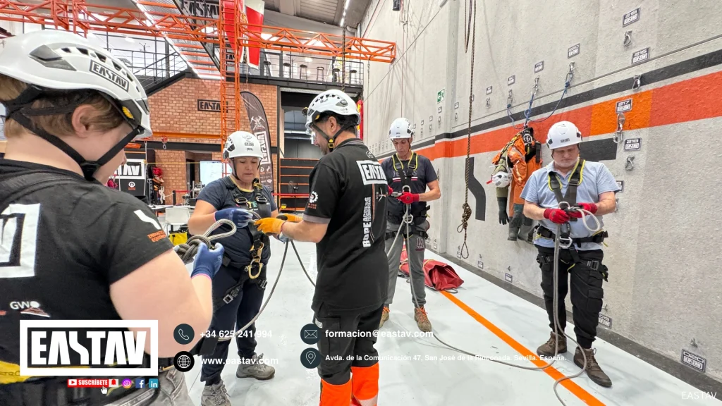 Group of workers wearing safety helmets and harnesses training on climbing wall with ropes.