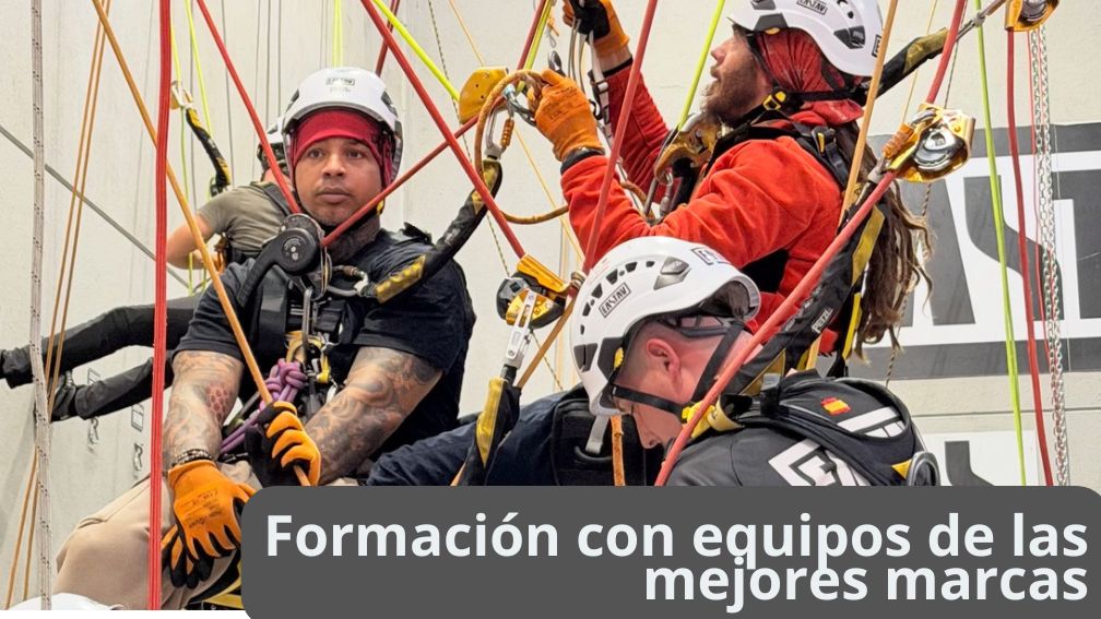 Professional climbers in safety gear training on rock climbing wall with ropes