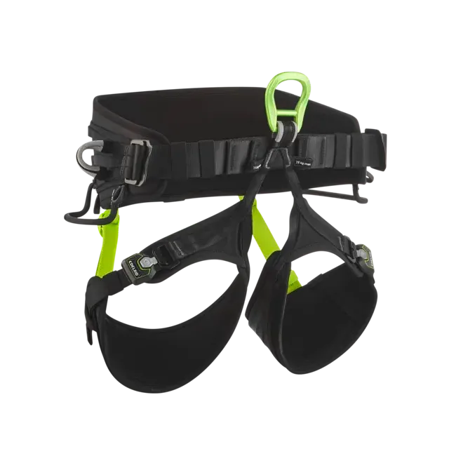 VECTOR Y Night-Oasis