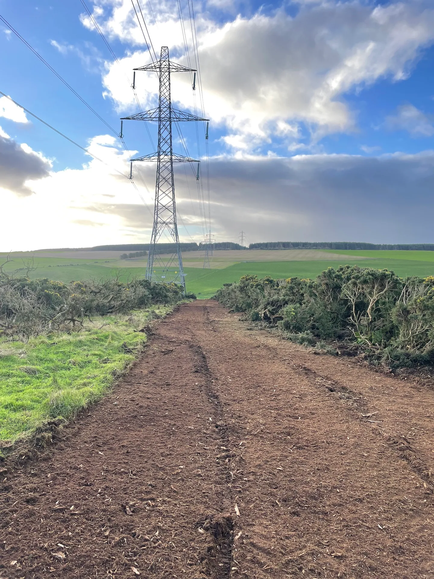 Site and vegetation clearance for forestry and land development projects in Aberdeenshire