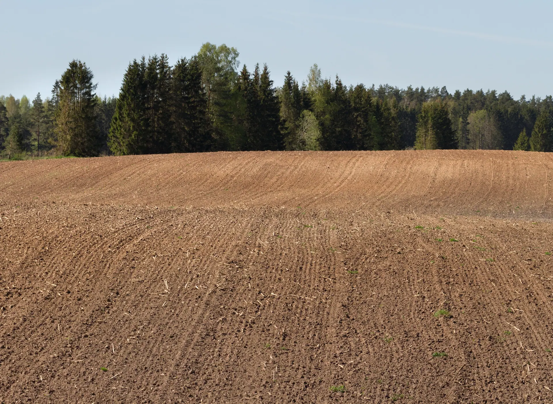 Site and vegetation clearance carried out for land preparation in Aberdeenshire