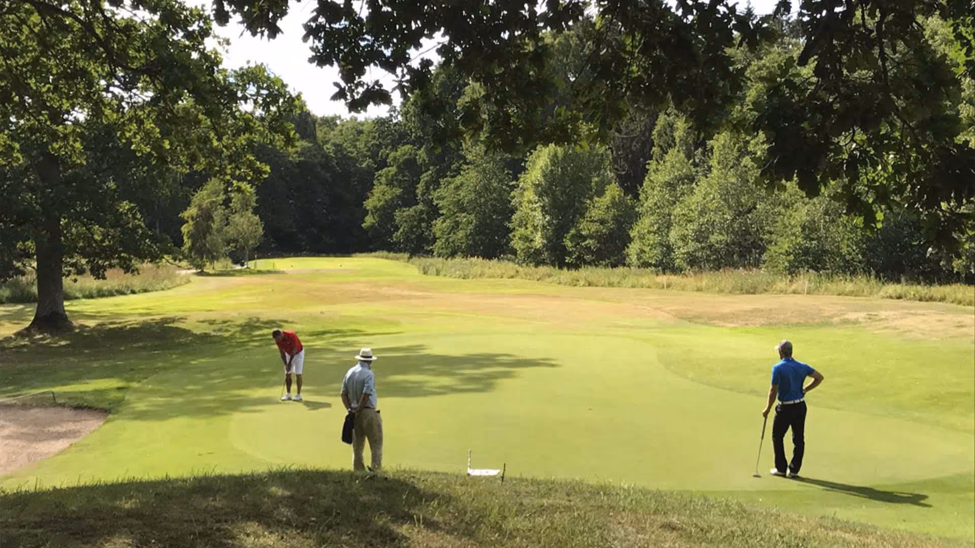 Golfspelare på grönska omgiven av träd i solsken.