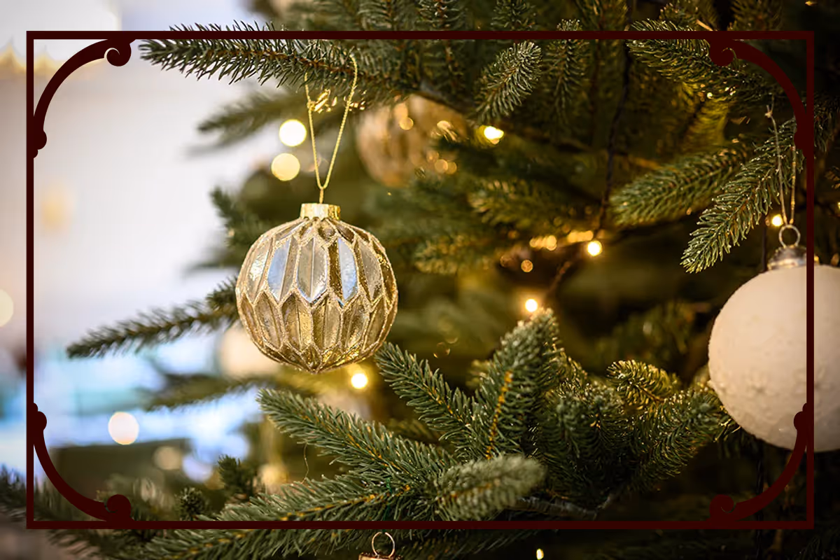 Person vandrar i grönskande skog med ormbunkar och porlande bäck.