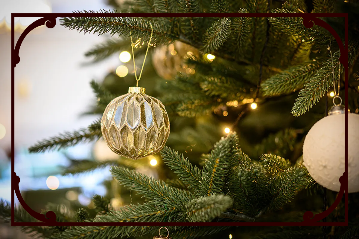 Person vandrar i grönskande skog med ormbunkar och porlande bäck.