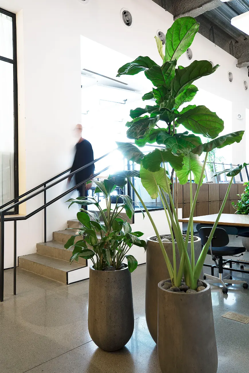 Spring Place resident desks offering flexible access and private desk setup