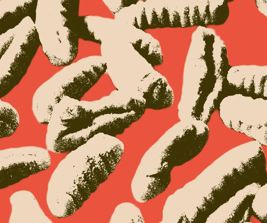 Halftone photo of cavatelli pasta