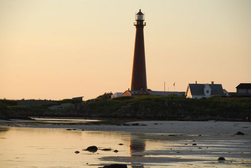 Summer in Andenes: Whale Watching, Midnight Sun & Arctic Adventures