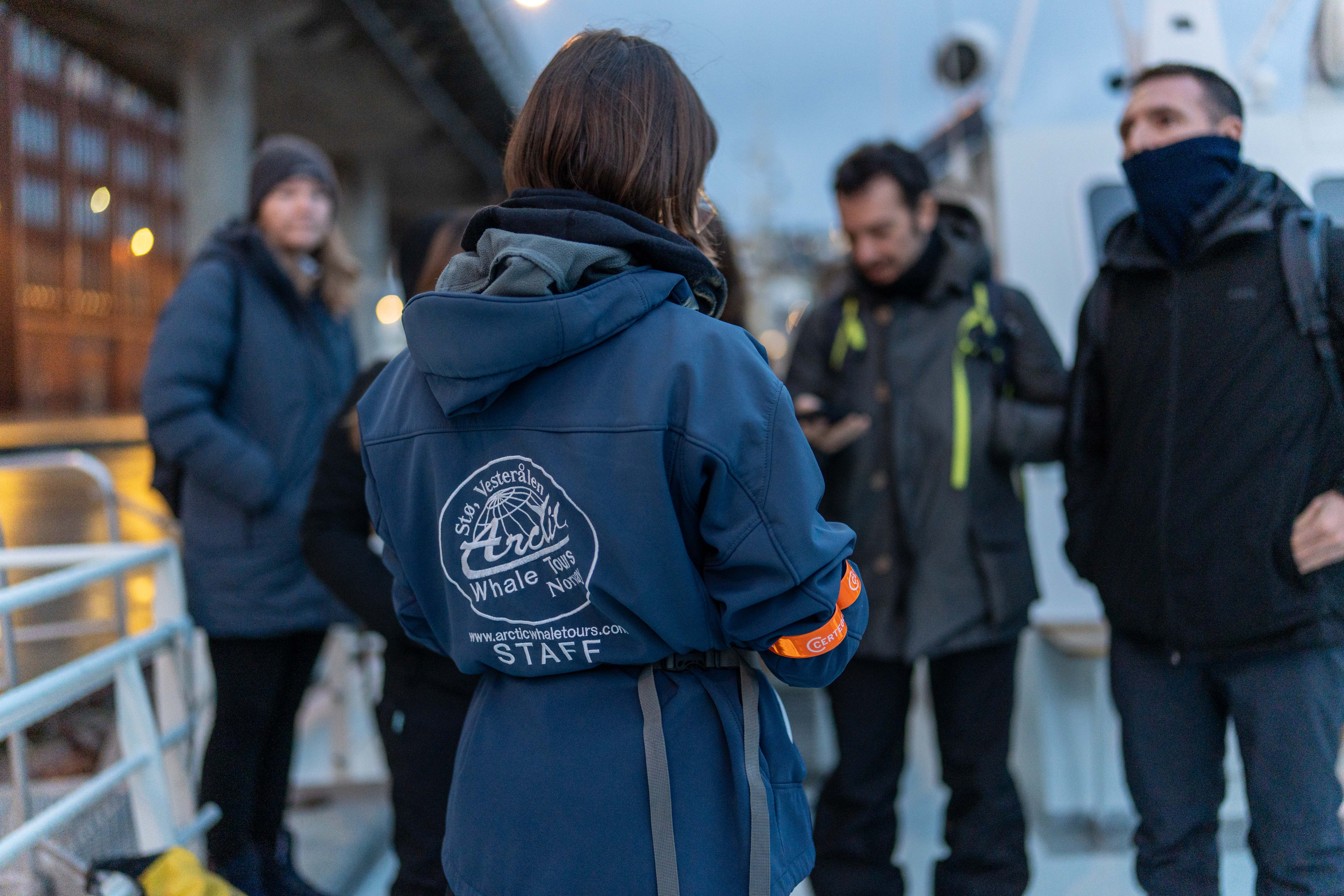 Why Choose Arctic Whale Tours for Whale Watching in Andenes