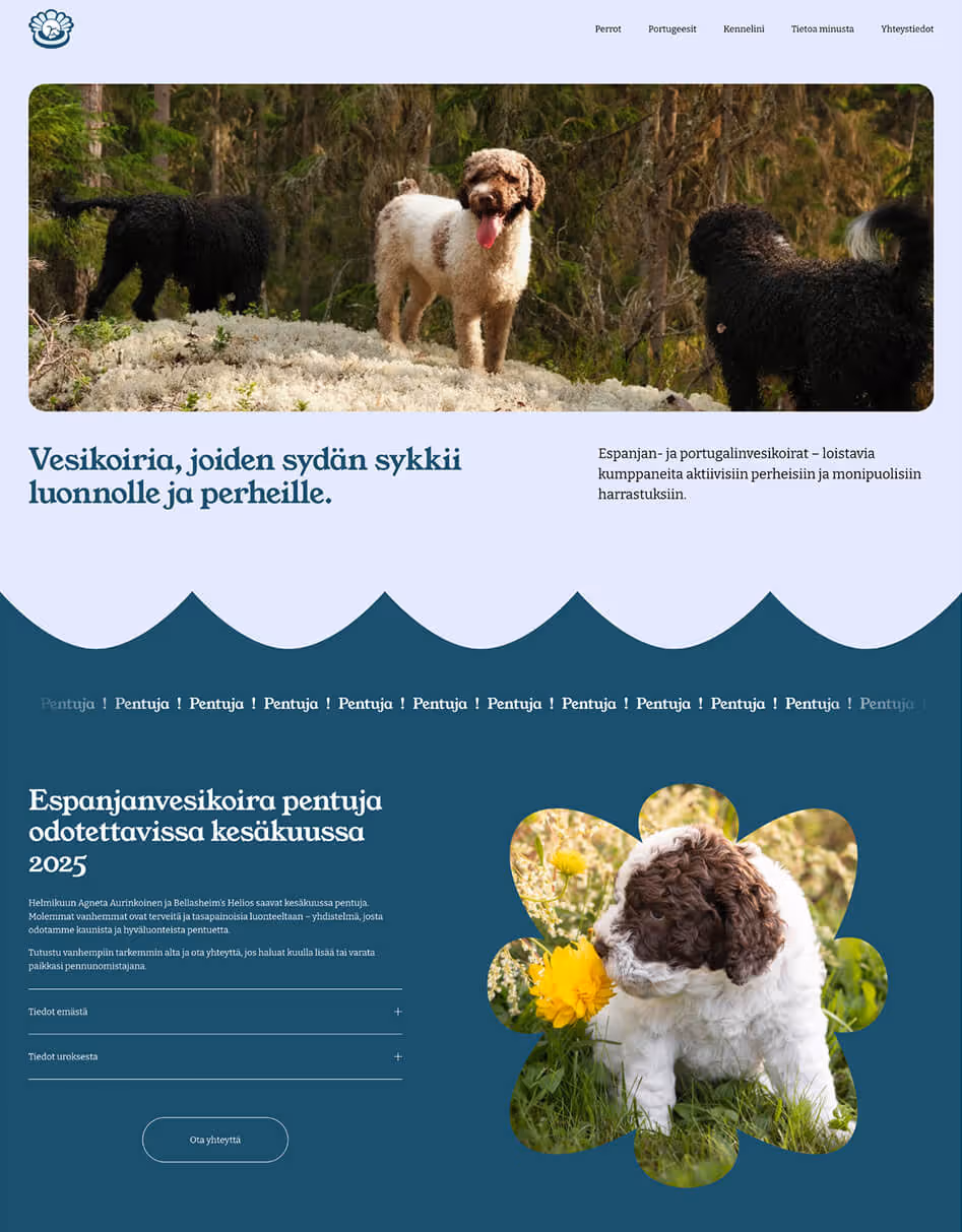 Webshow - Graafinen esitys Helmikuunkennel.fi verkkosivusta