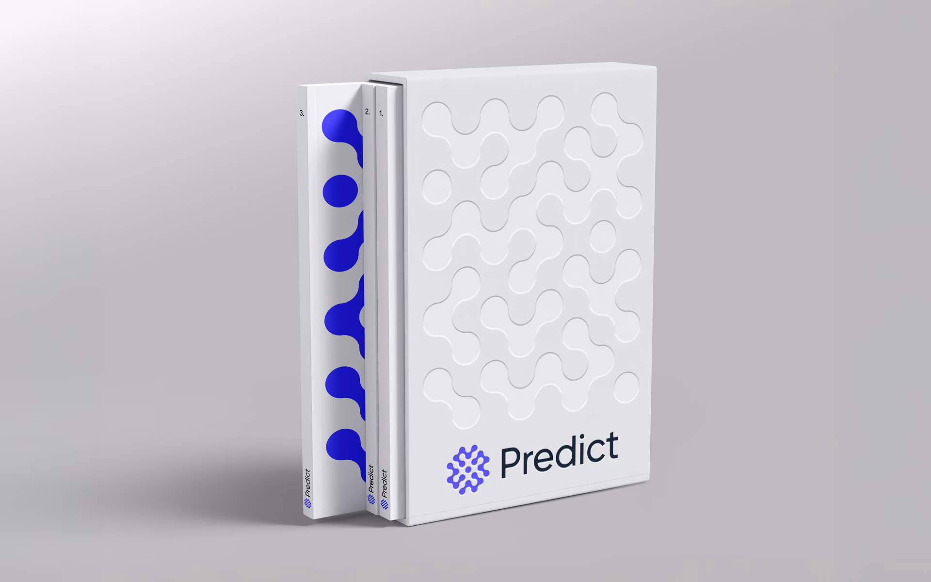 Brochure Predict