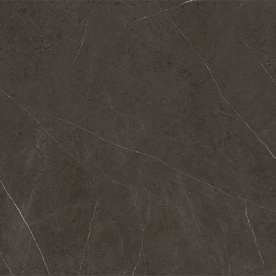 LIEM DARK POL.61X29