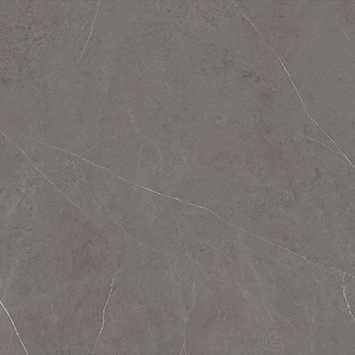 LIEM GREY POL.61X129