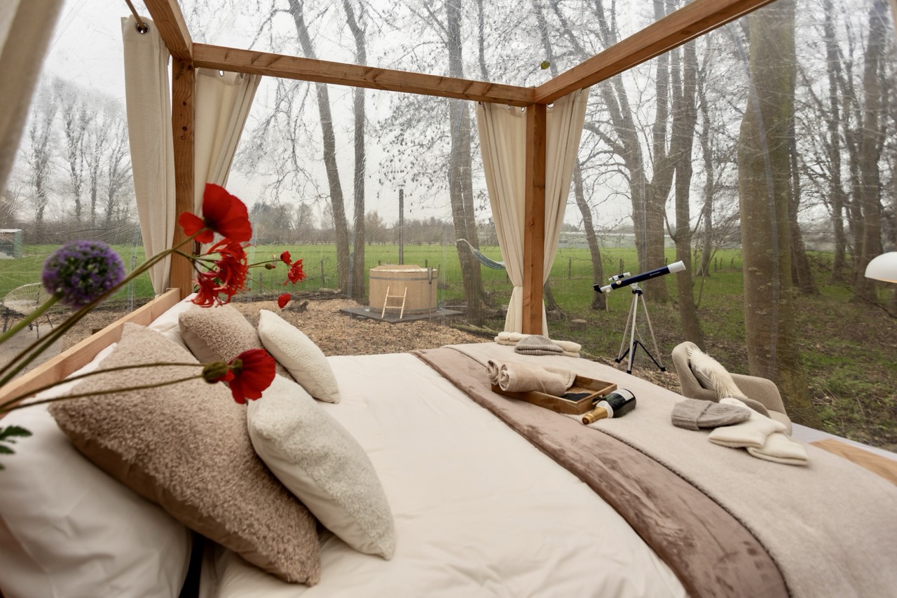 Foto van een uitzicht vanuit je bed in een doorzichtige bubbeltent