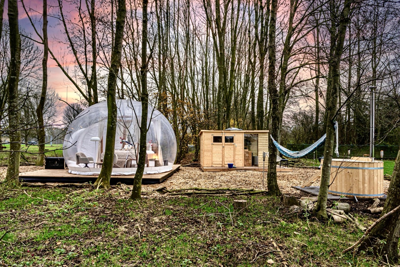 Unieke airbnb in een bos met natuur