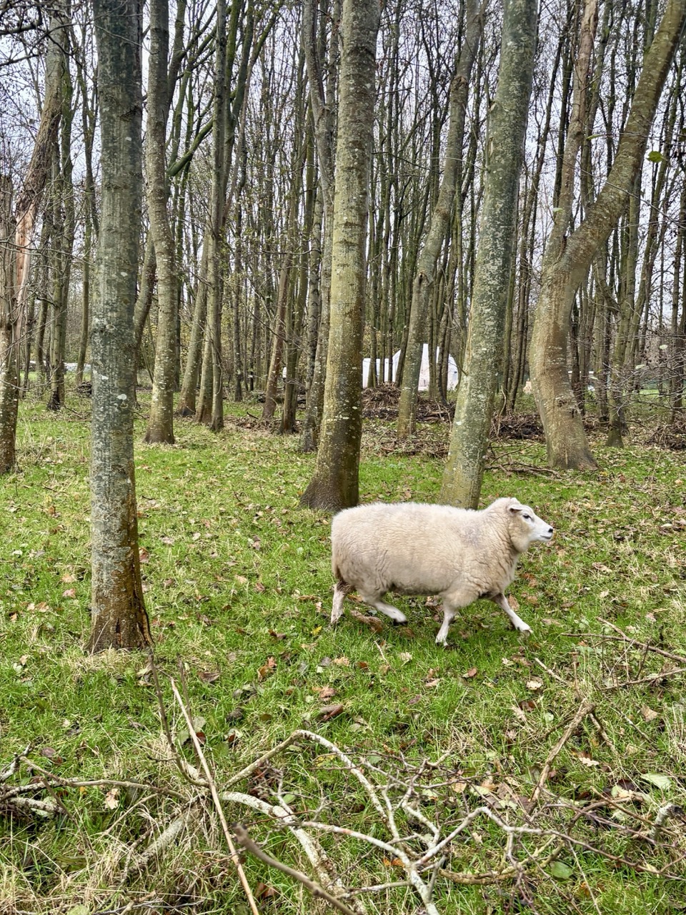 image of a street market food stall from a southeast asian travel agency