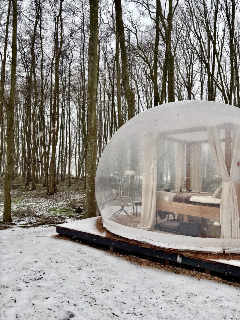 doorzichtige tent in de sneeuw en natuur