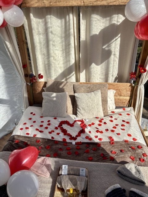 image of fleet lineup (for an aviation service)