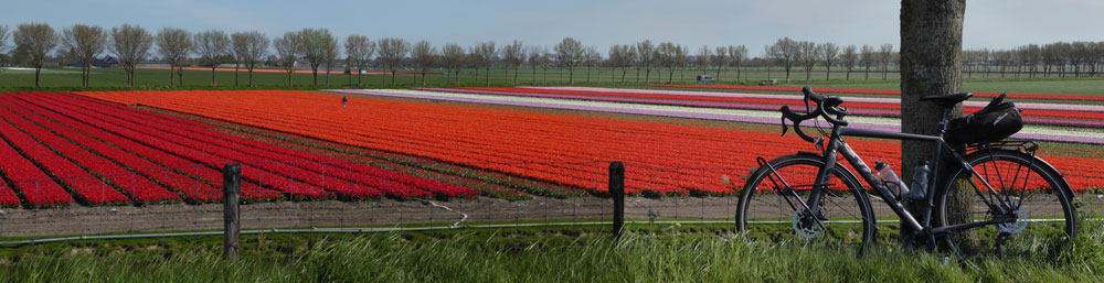 Elektrische fietsen beschikbaar bij de bubbeltent