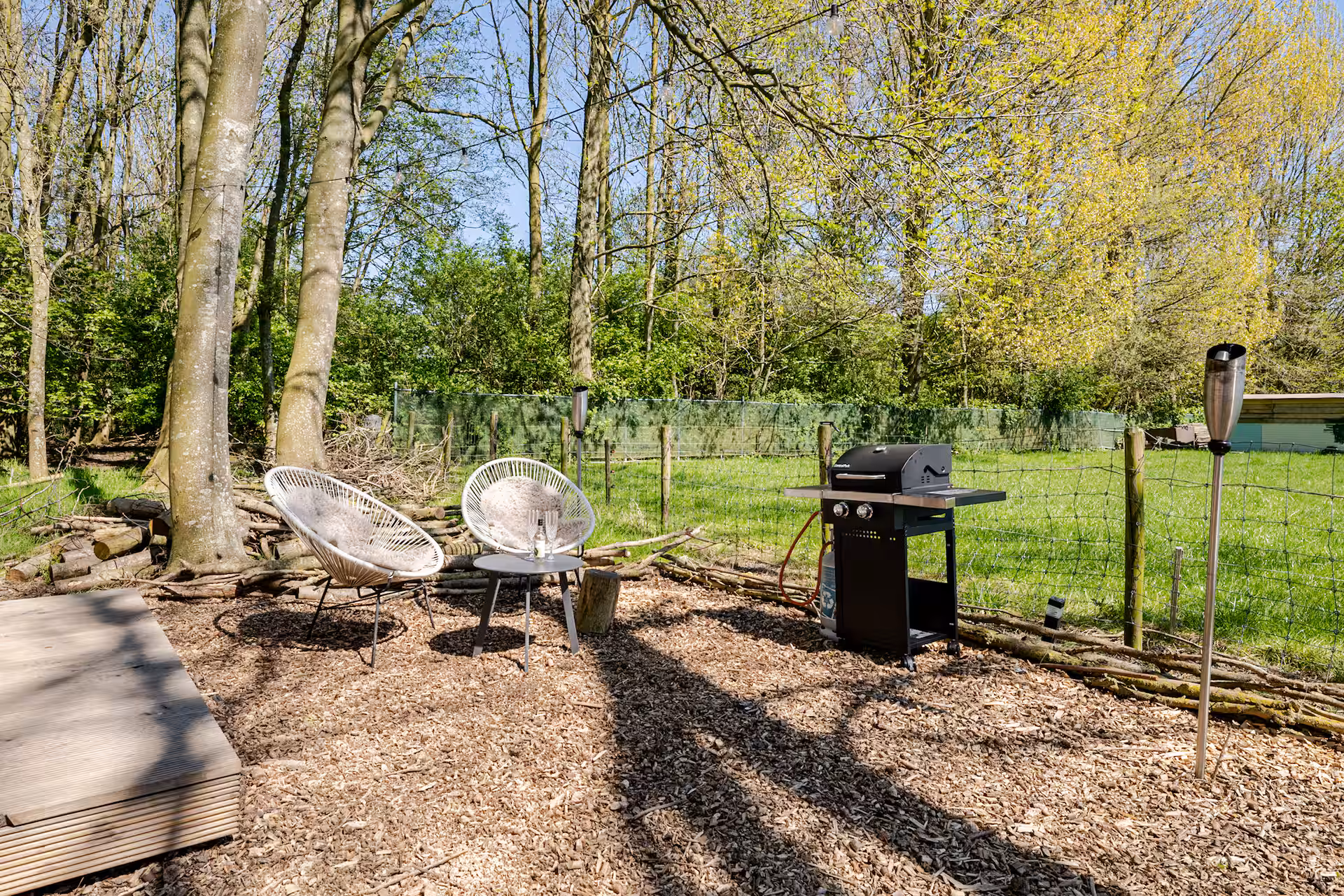 Buitenkeuken en bbq in een bos