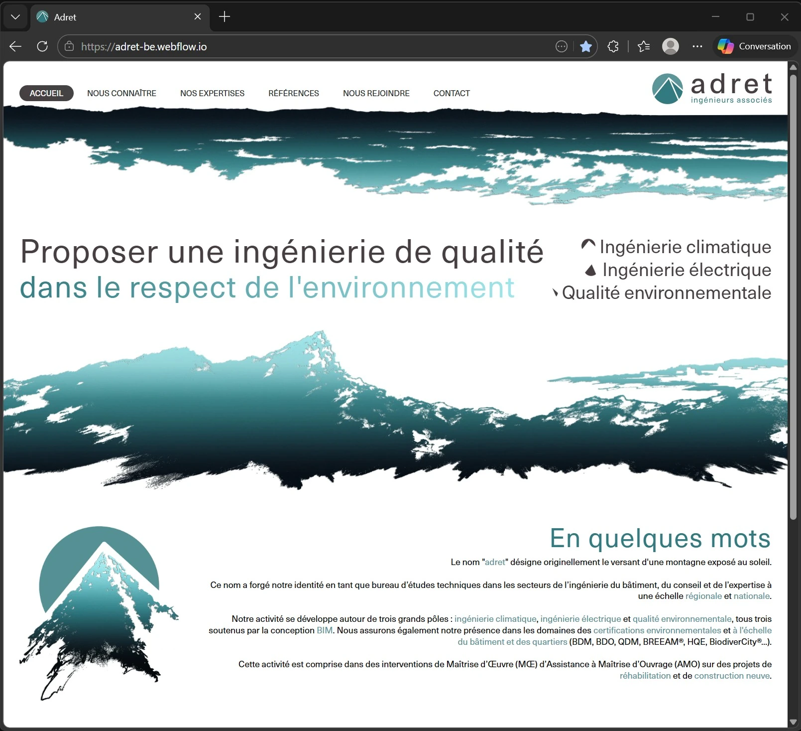 Screenshot of the website Carla made.