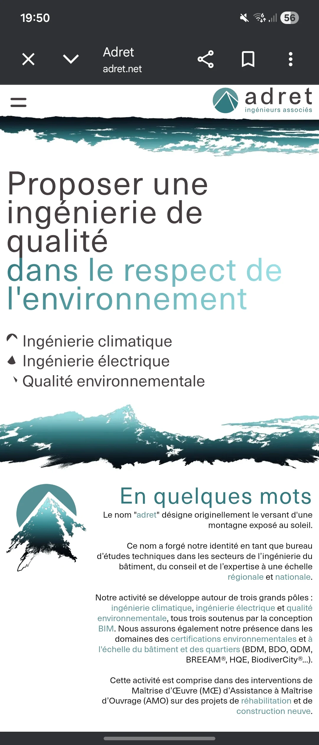 Screenshot of the website Carla made.