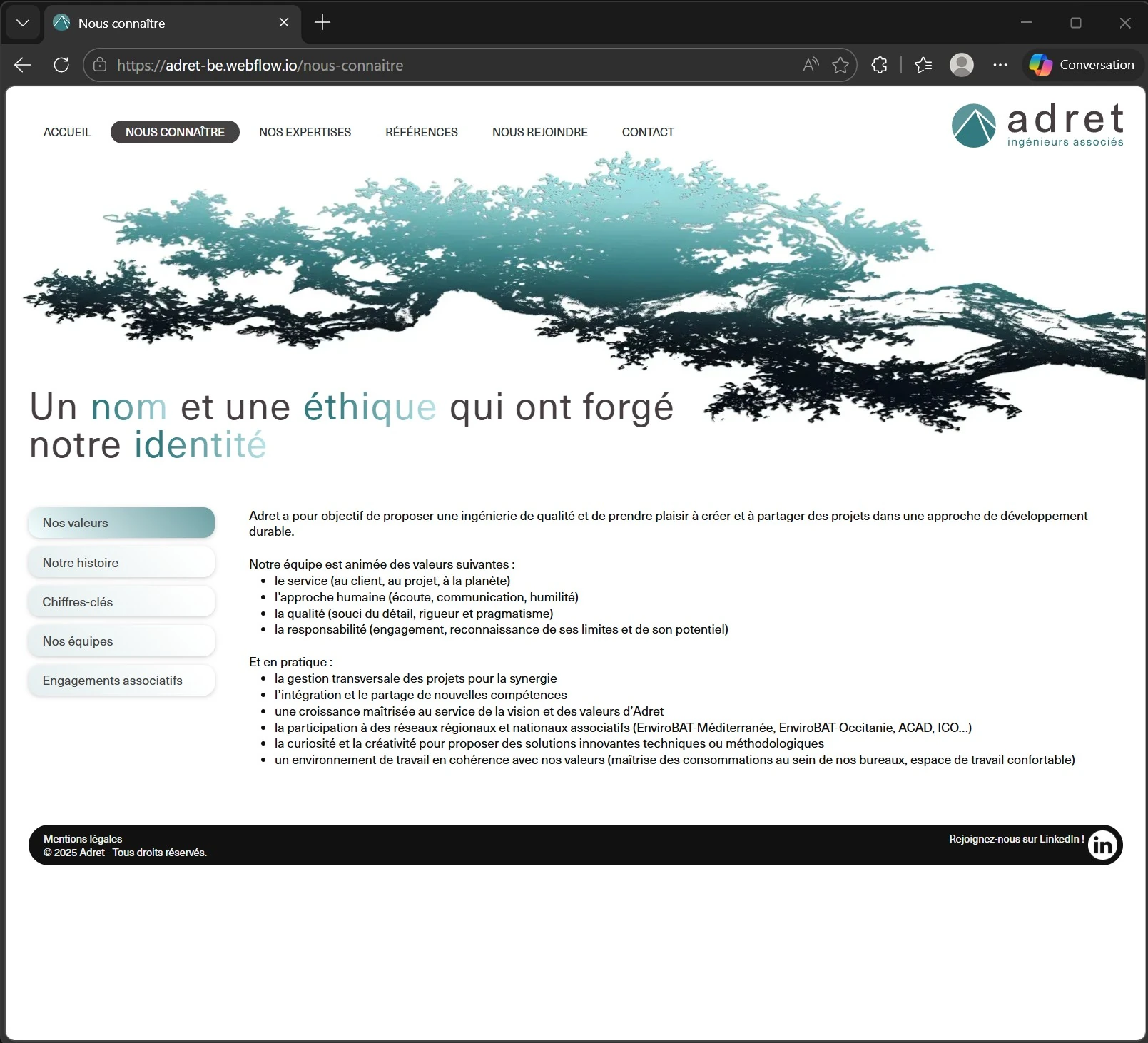 Screenshot of the website Carla made.