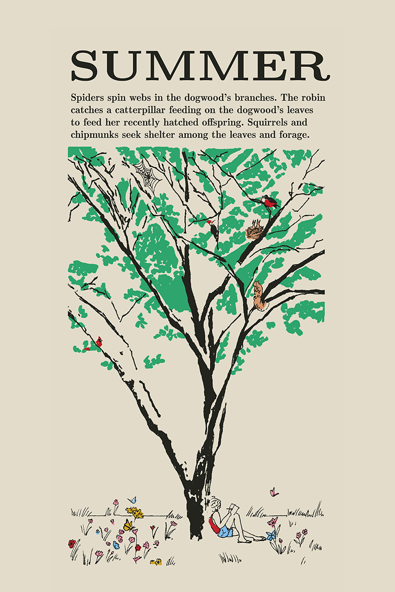 How to make a website: Page 09