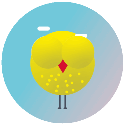 shapefruit - Kompetenz - animiertes GIF