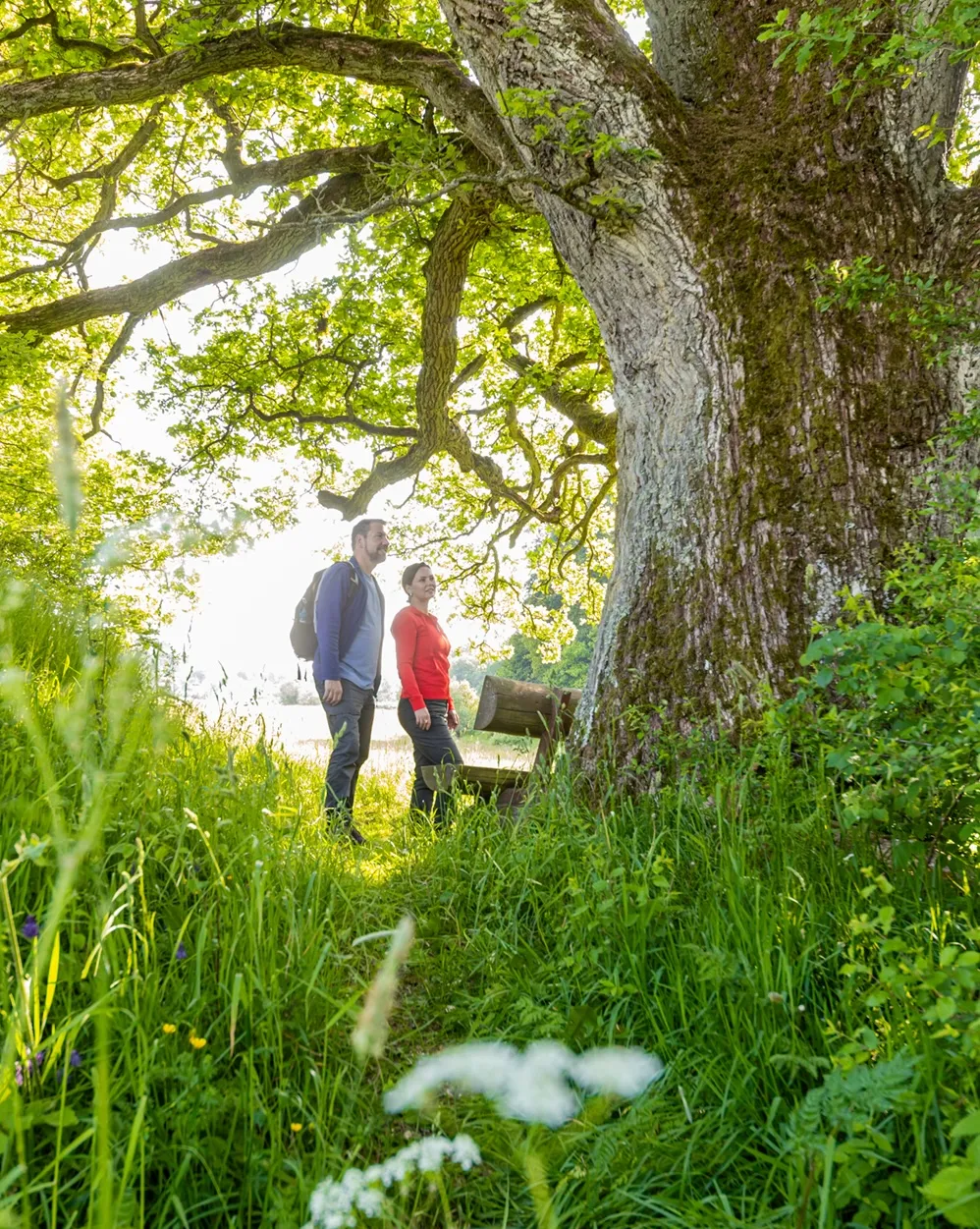 Fotoshooting - Kampagnen - Wandern  