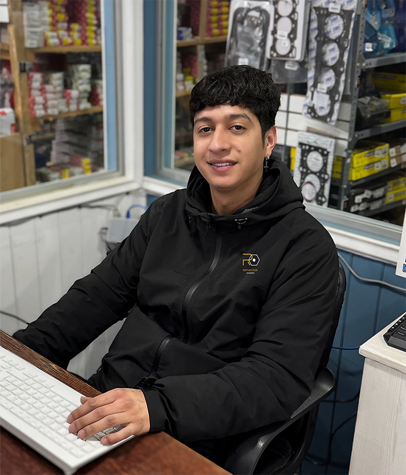 Brian mansilla - análisis de repuestos en repuestos osorno.