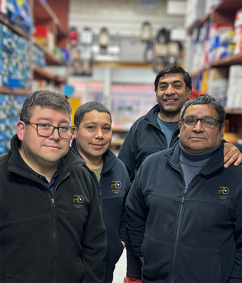 Equipo de ventas de repuestos osorno.
