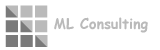 ML Consulting
