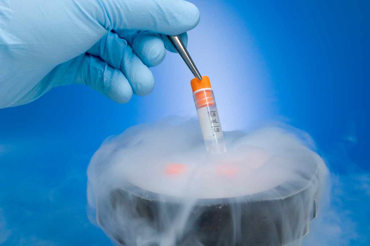 Egg Freezing