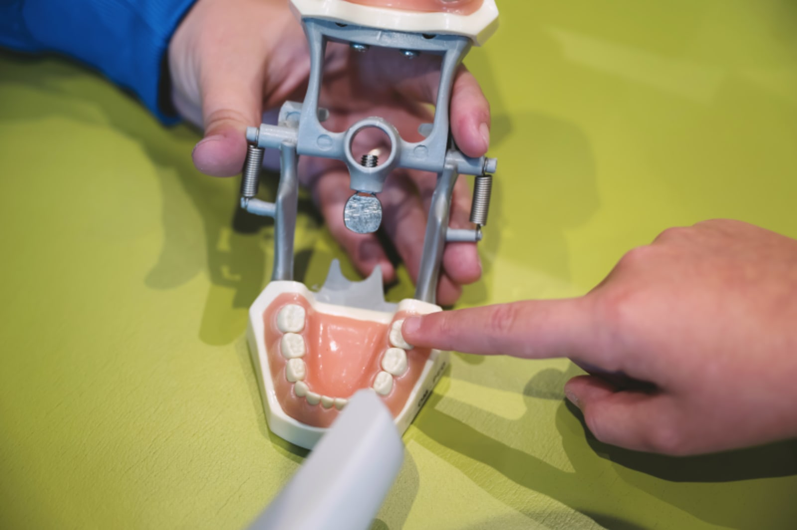 Hands demonstrating dental cleaning technique on a tooth model