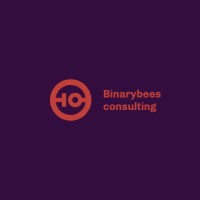 BinaryBees Consulting