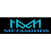Metaminds