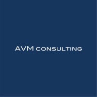 AVM Consulting Inc
