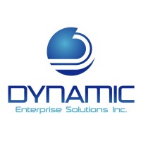 Dynamic Enterprise Solutions Inc