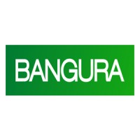 Bangura Solutions