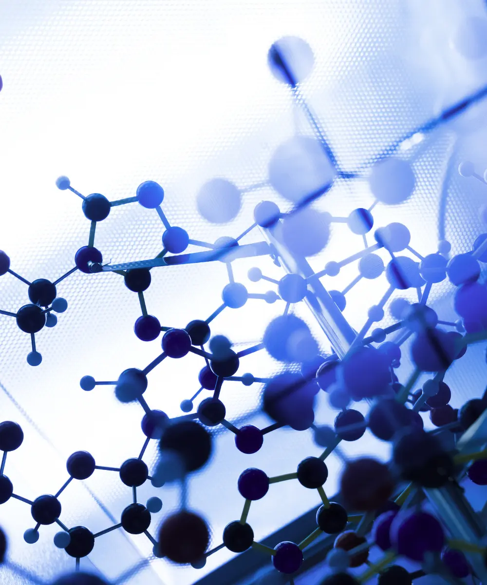 business ecosystem model