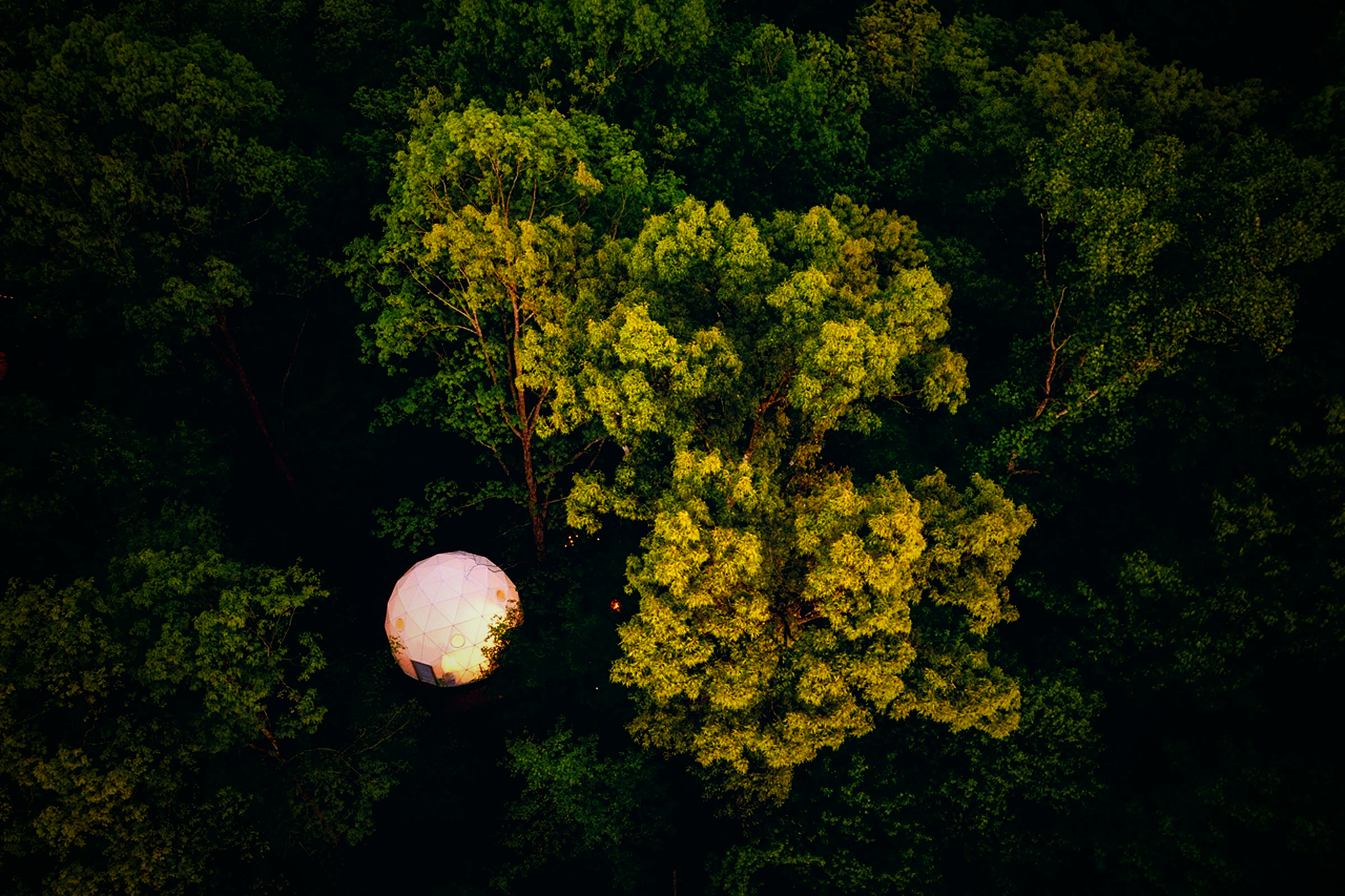 A geodesic dome glowing among the trees